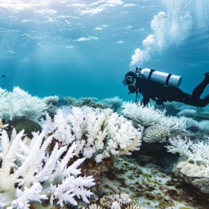portrait-scuba-diver-sea-water-with-marine-life
